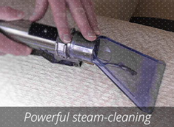 Power Steam Cleaning 